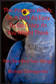Book cover of: Princess Witch. By: Michael Ostrogorsky