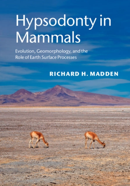 Book cover of: Hypsodonty in Mammals. By: Richard H. Madden