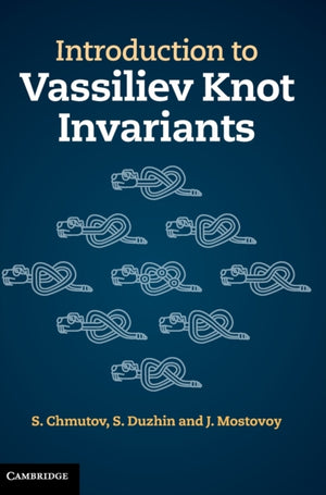 Introduction to Vassiliev Knot Invariants
