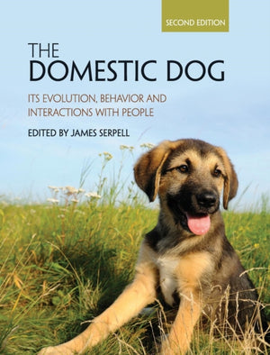 Domestic Dog