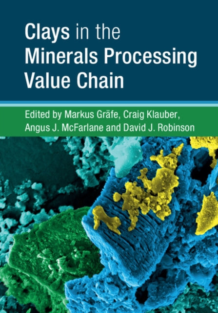 Book cover of: Clays in the Minerals Processing Value Chain. By: Markus Gräfe