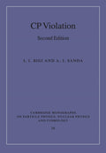 CP Violation
