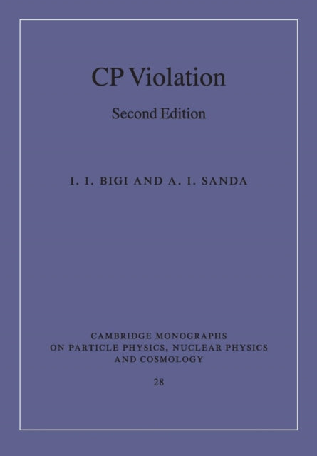 CP Violation
