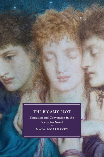 Book cover of: Bigamy Plot. By: Maia McAleavey