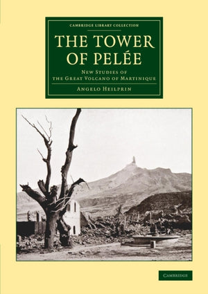 The Tower of Pelee