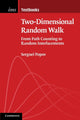 Book cover of: Two-Dimensional Random Walk. By: Serguei Popov
