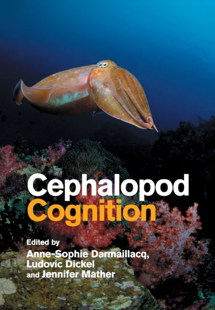 Book cover of: Cephalopod Cognition