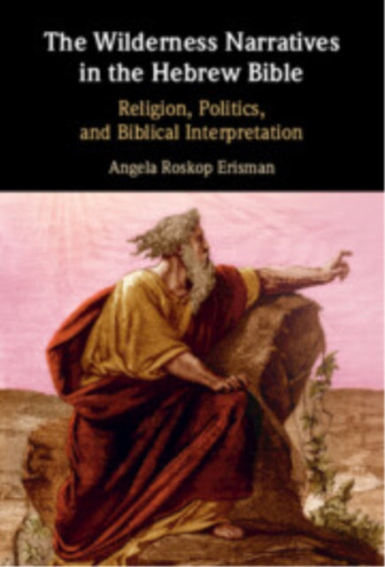 Book cover of: Wilderness Narratives in the Hebrew Bible. By: Angela Roskop Erisman