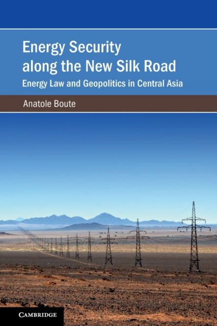 Energy Security along the New Silk Road