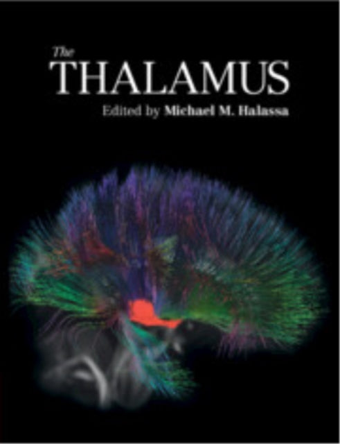 Book cover of: Thalamus. By: Michael Halassa