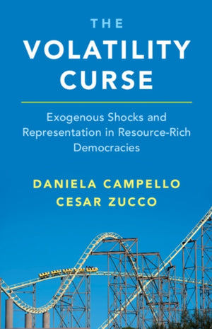 Volatility Curse