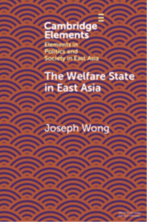 The Welfare State in East Asia