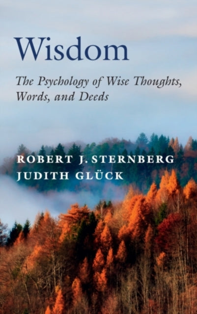 Book cover of: Wisdom. By: Robert J. Sternberg