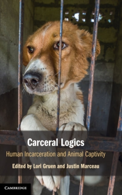 Carceral Logics