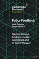 Book cover of: Policy Feedback. By: Daniel Béland