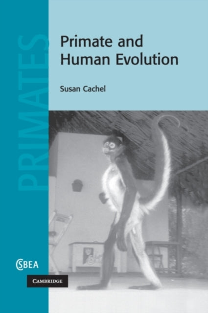 Book cover of: Primate and Human Evolution. By: Susan Cachel