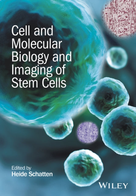 Book cover of: Cell and Molecular Biology and Imaging of Stem Cells. By: Heide Schatten