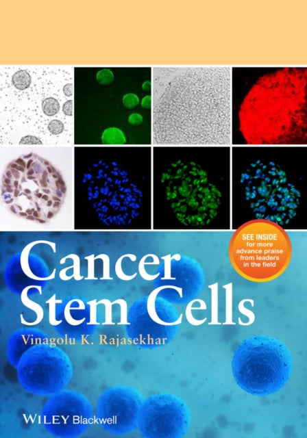 Book cover of: Cancer Stem Cells. By: Vinagolu K. Rajasekhar