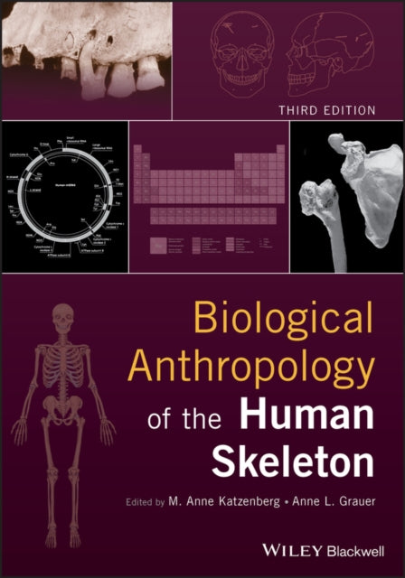 Book cover of: Biological Anthropology of the Human Skeleton