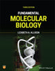 Book cover of: Fundamental Molecular Biology. By: Lizabeth A. Allison
