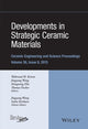 Book cover of: Developments in Strategic Ceramic Materials. By: Waltraud M. Kriven