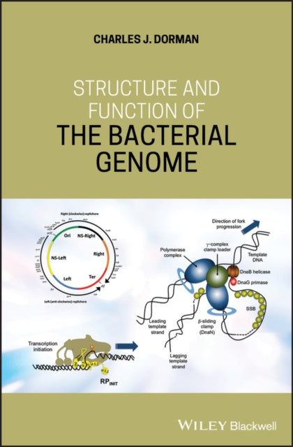 Book cover of: Structure and Function of the Bacterial Genome. By: Charles J. Dorman