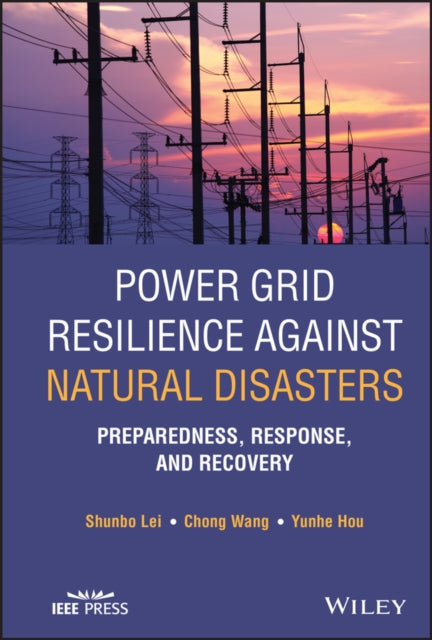 Book cover of: Power Grid Resilience against Natural Disasters. By: Shunbo Lei