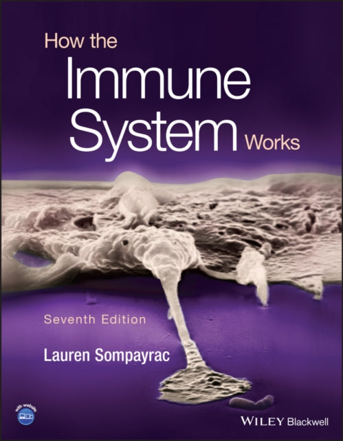 Book cover of: How the Immune System Works. By: Lauren M. Sompayrac