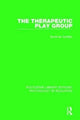 Book cover of: Therapeutic Play Group. By: Mortimer Schiffer