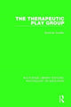 Book cover of: Therapeutic Play Group