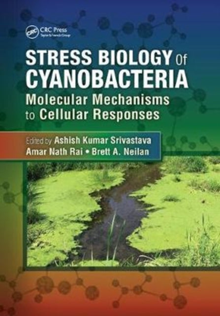 Book cover of: Stress Biology of Cyanobacteria. By: Ashish Kumar Srivastava