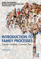 Book cover of: Introduction to Family Processes. By: Denise Ann Bodman