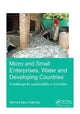 Book cover of: Micro and Small Enterprises, Water and Developing Countries. By: Gloria Ana María Mónica Sanz Galindo