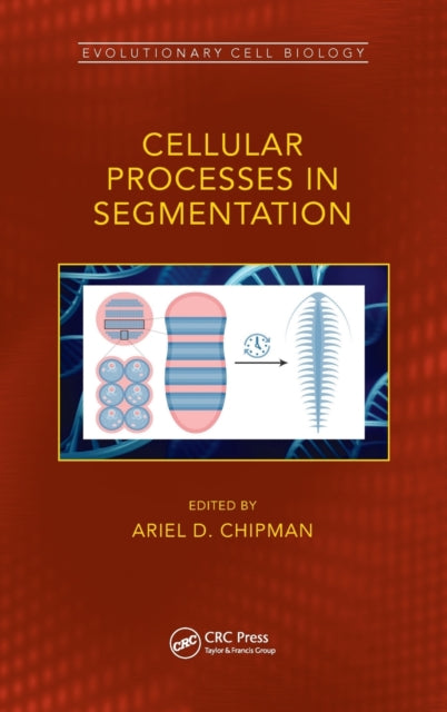 Book cover of: Cellular Processes in Segmentation. By: Ariel Chipman