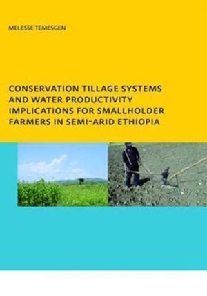 Conservation Tillage Systems and Water Productivity