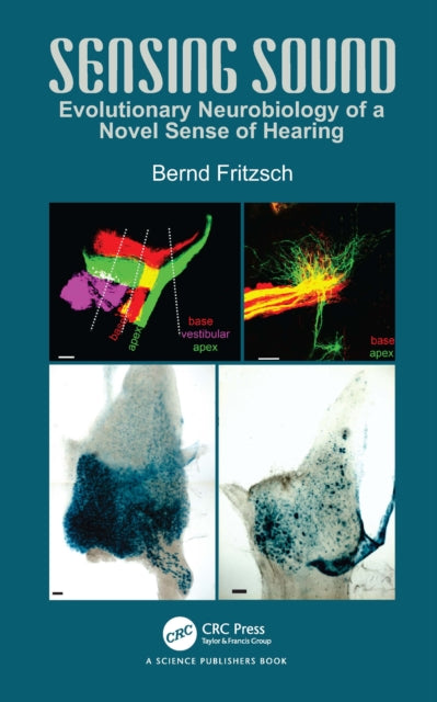 Book cover of: Sensing Sound. By: Bernd Fritzsch