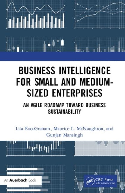 Book cover of: Business Intelligence for Small and Medium-Sized Enterprises. By: Lila Rao-Graham