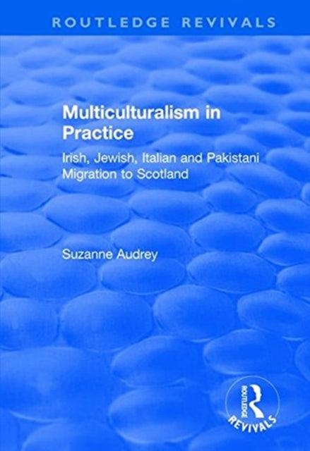 Book cover of: Multiculturalism in Practice