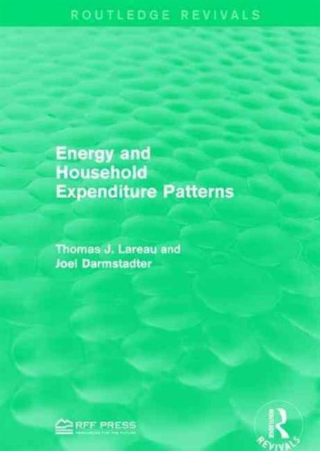 Book cover of: Energy and Household Expenditure Patterns. By: Thomas J. Lareau