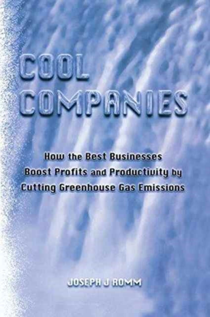 Book cover of: Cool Companies. By: Joseph J. Romm