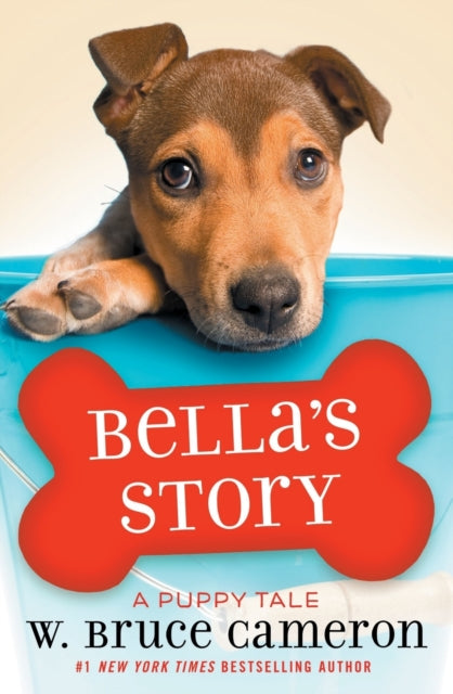 A Bella's Story