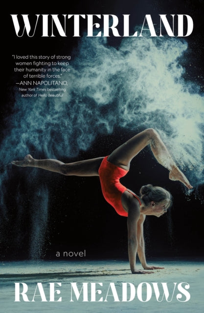 Book cover of: Winterland. By: Rae Meadows