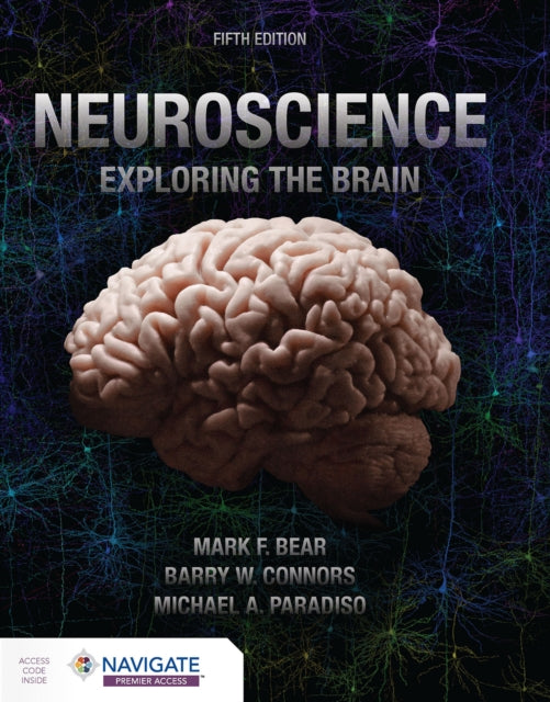 Book cover of: Neuroscience: Exploring the Brain