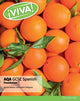 Book cover of: Viva! AQA GCSE Spanish Foundation Student Book. By: Christopher Lillington