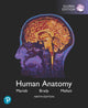 Book cover of: Human Anatomy, Global Edition. By: Elaine Nicpon Marieb
