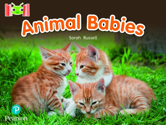 Book cover of: Bug Club Reading Corner: Age 4-7: Animal Babies. By: Sarah Russell