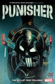 Book cover of: Punisher: The Bullet That Follows. By: David Pepose
