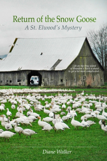 Book cover of: Return of the Snow Goose. By: Diane Walker