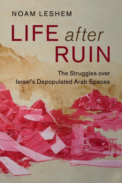 Book cover of: Life after Ruin. By: Noam Leshem