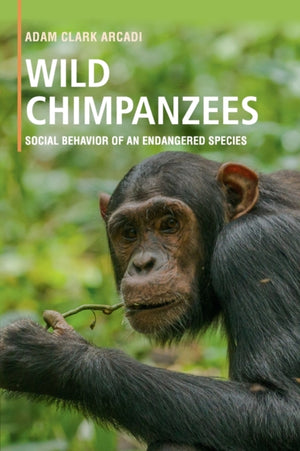 Wild Chimpanzees